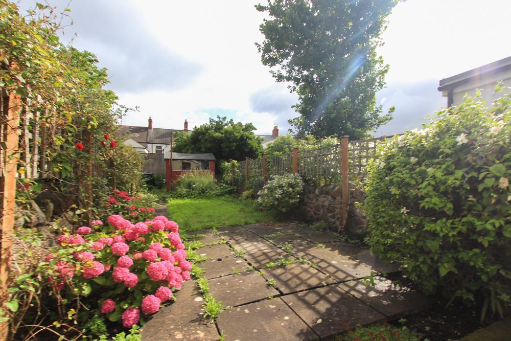 Letty Street, Cathays — photograph 9